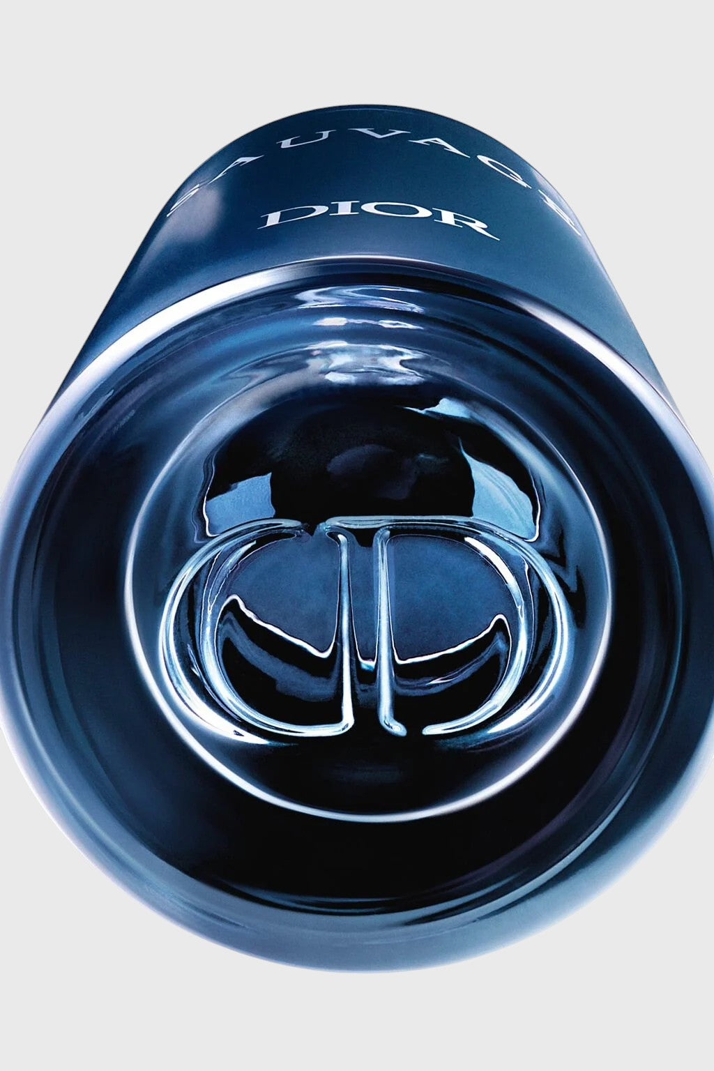 Dior Sauvage Eau de Toilette 100ML