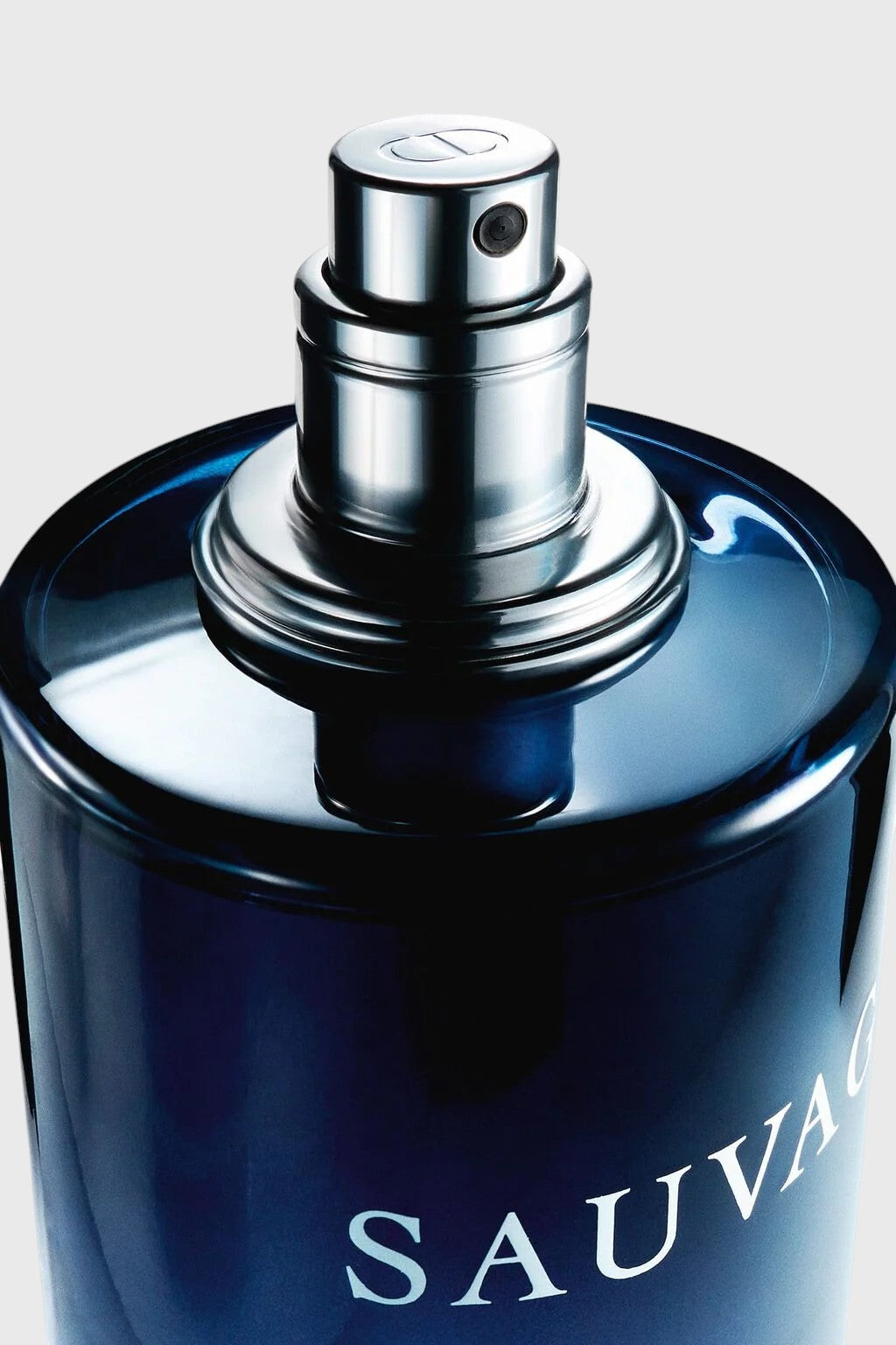 Dior Sauvage Eau de Toilette 100ML