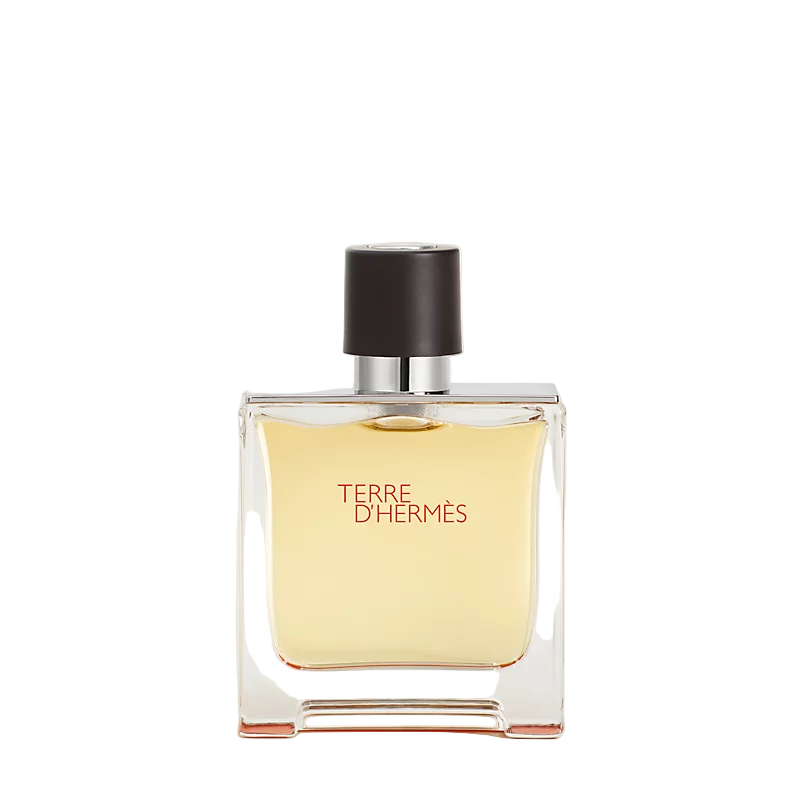 Terre de Hermès (100ML)