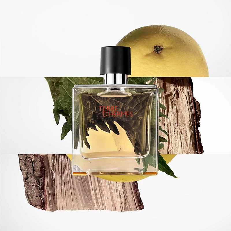 Terre de Hermès (100ML)